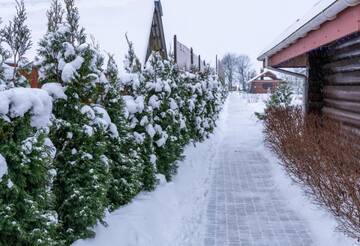 Фото Загородные дома Usadba Minevichi г. Bogatyrevichi 4